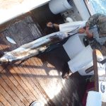 Charter Fishing Key Biscayne
