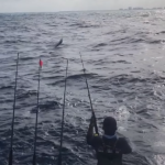 Charter Fishing Boat