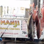 A Day Fishing on Fish Jumanji