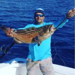 Fish Jumanji Grouper Fishing