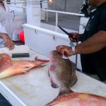 Captain Kevin Cleaning Fish