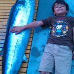 Kingfish Fishing