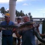 Fish Jumanji Daily Catch