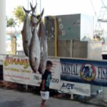 Classic Fish Jumanji Catch of the Day