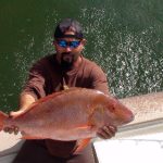 Monster Mutton Snapper Catch