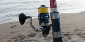 Selecting Your Fishing Line