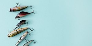 Choosing the Right Lure