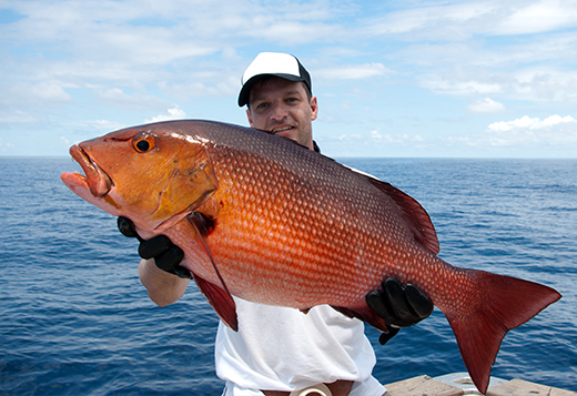 How to Fillet Red Snapper