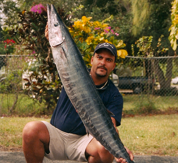 Kingfish Fishing