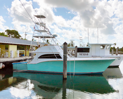 Miami Fishing Charters