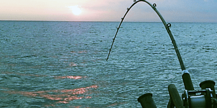 Saltwater Rod