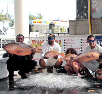 Snapper Fishing