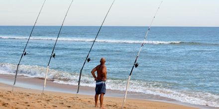 Surf Fishing Florida