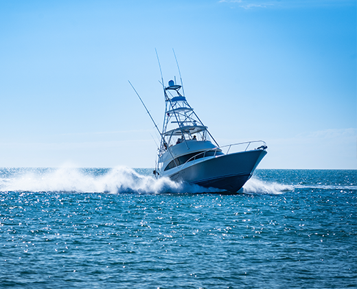 Deep Sea Fishing