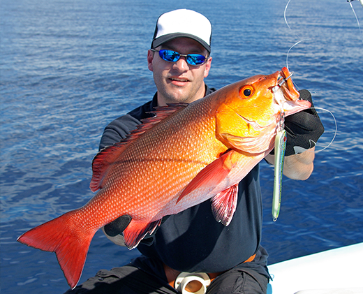 Snapper Fishing